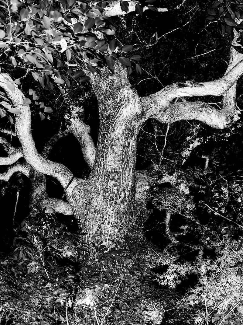 © Łukasz Rusznica - untitled