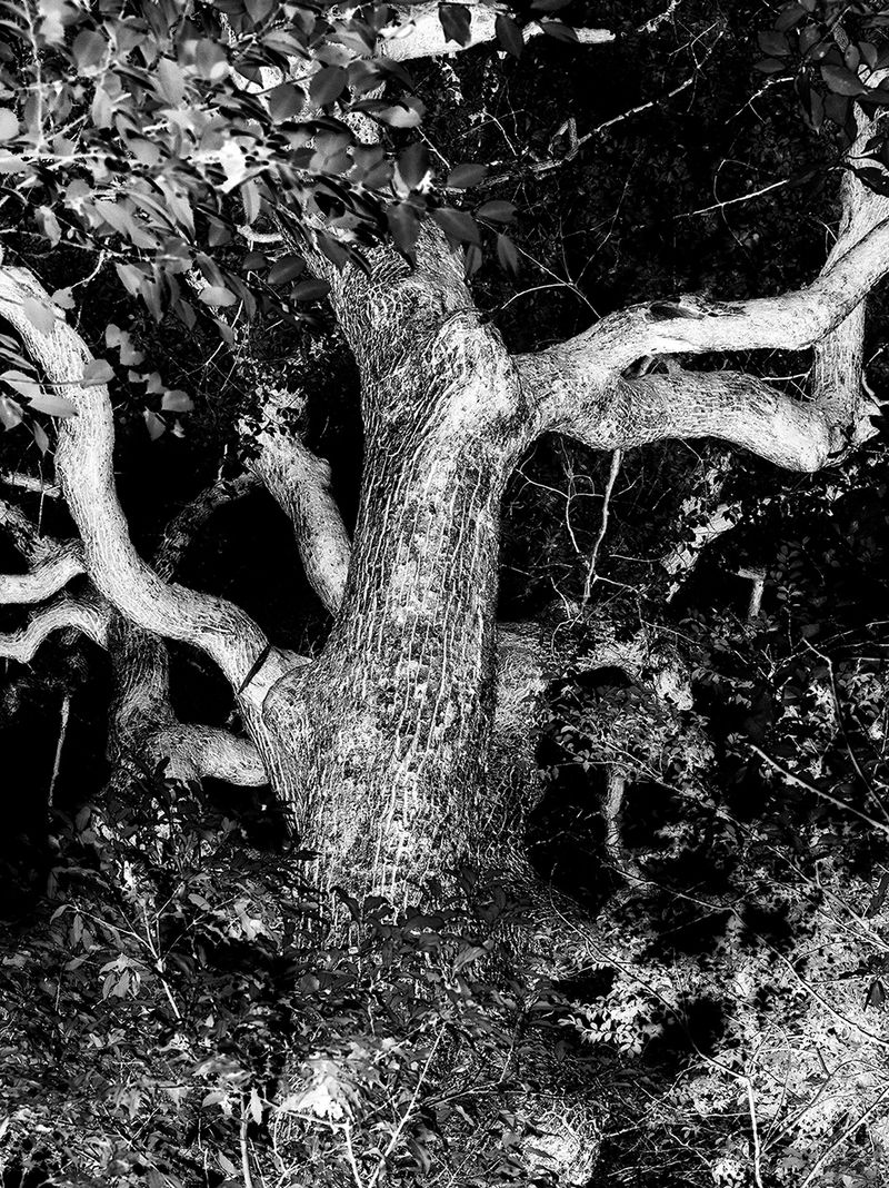 © Łukasz Rusznica - untitled