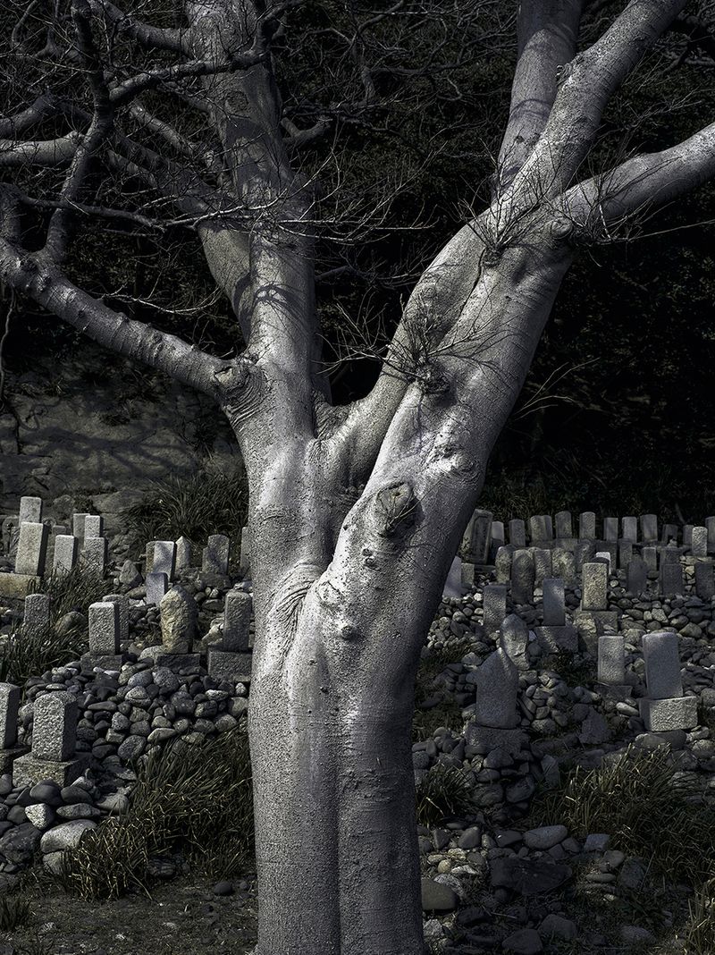 © Łukasz Rusznica - untitled