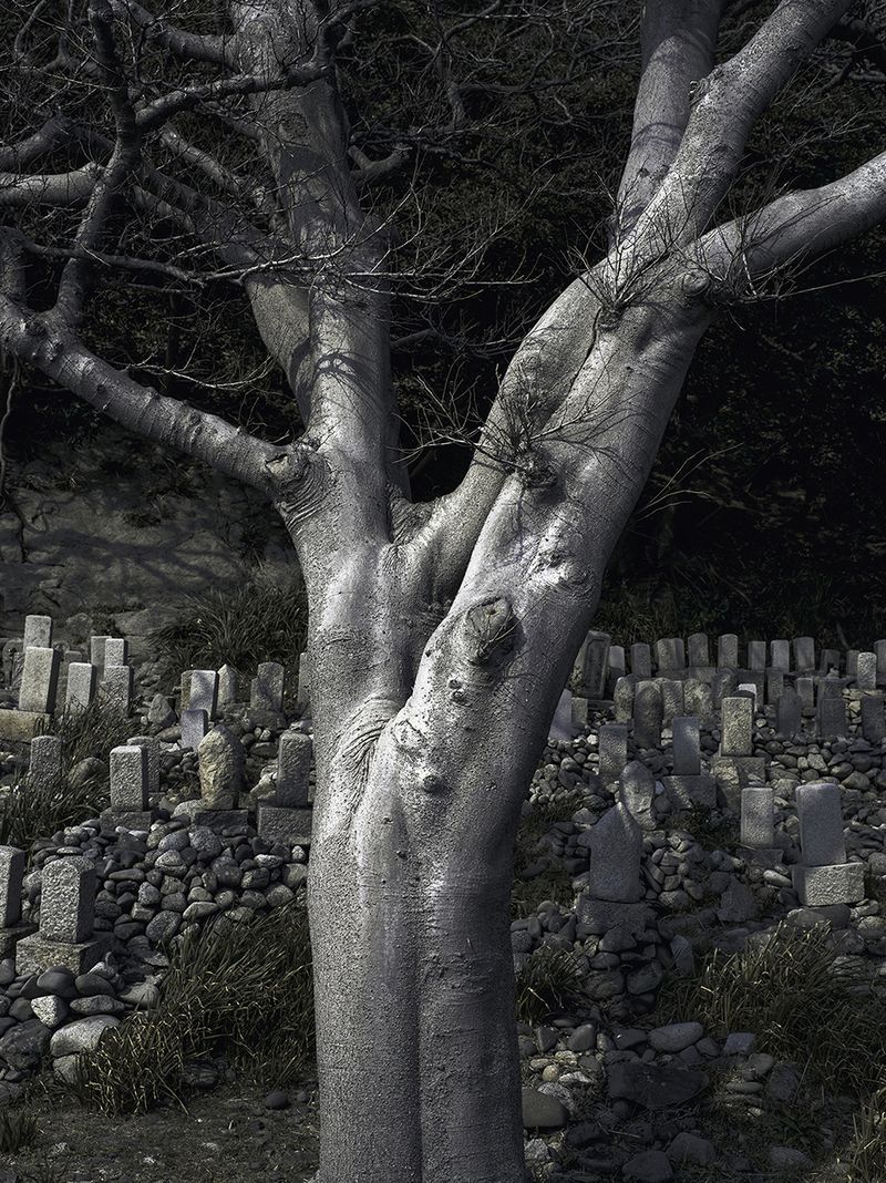 © Łukasz Rusznica - untitled