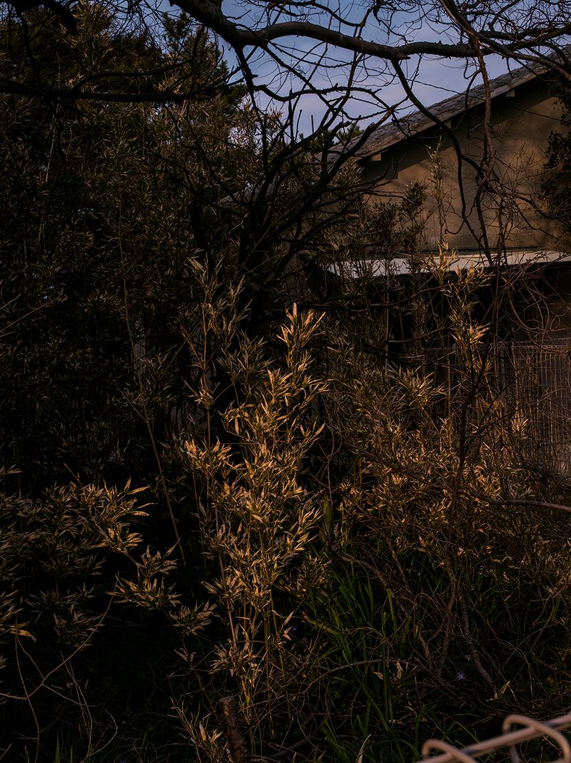 © Łukasz Rusznica - untitled