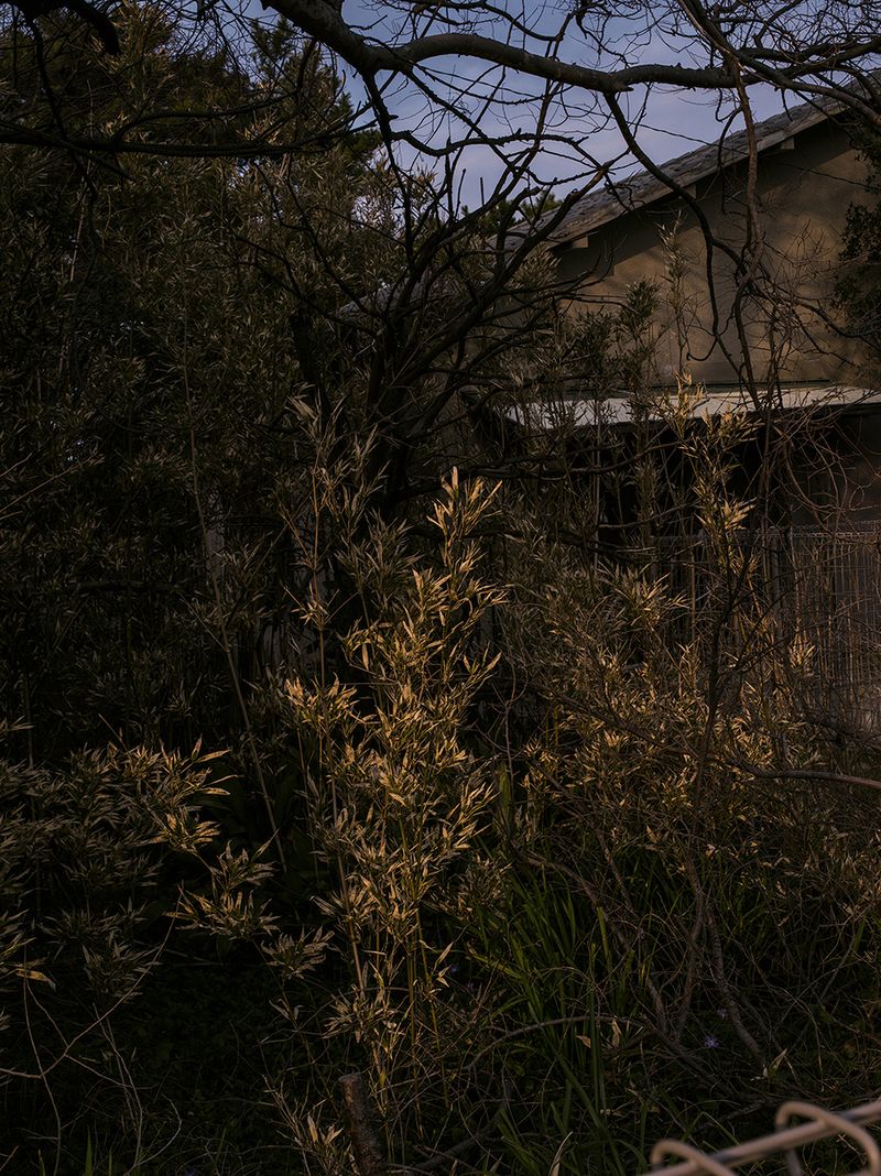 © Łukasz Rusznica - untitled