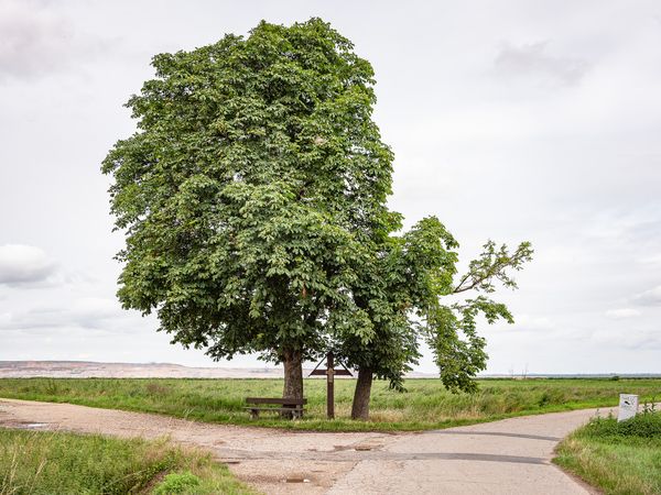 © Marvin Systermans - Image from the State of the Region photography project