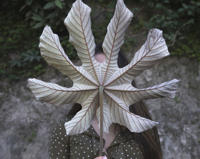 © Bea Zamora C - 18. Emergence