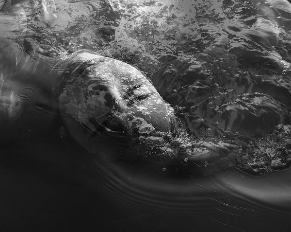 © Bea Zamora C - 1. A River called Grief