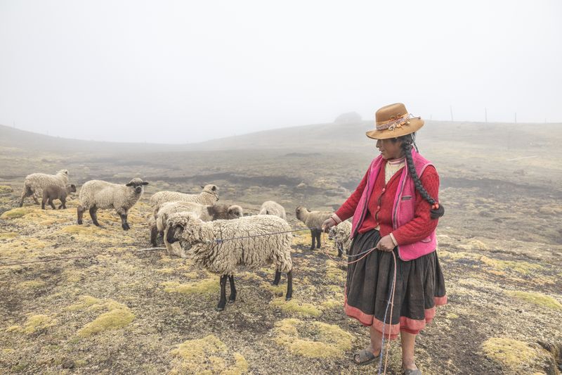 © Bardia Kabirifar - Image from the Q’eros: Guardians of Inca Traditions photography project
