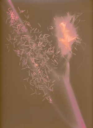 Bienal Fotografia do Porto FUTURES Talents 2026