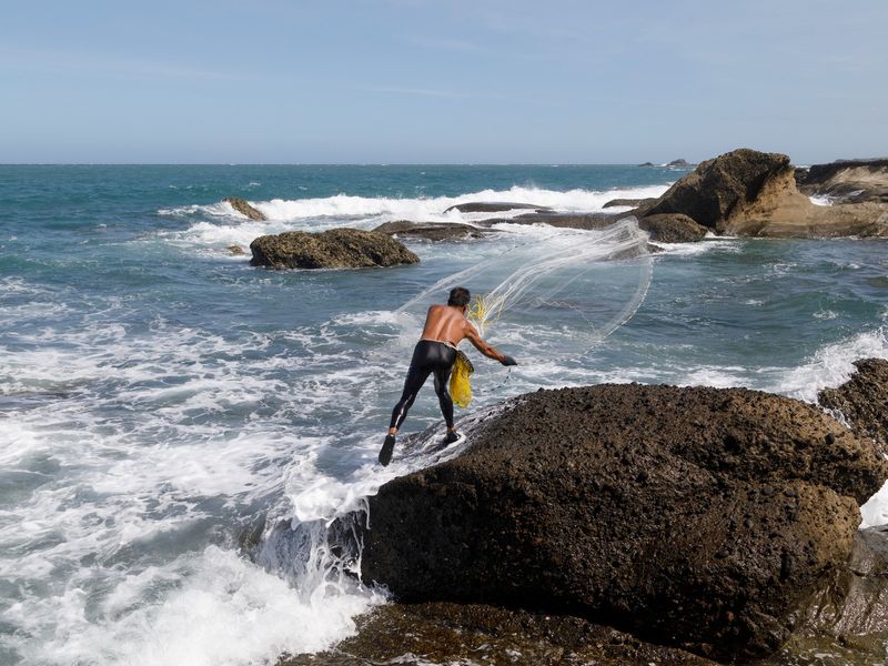 © Terra Project Collective