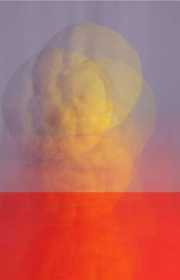 © Chrystal Cherniwchan