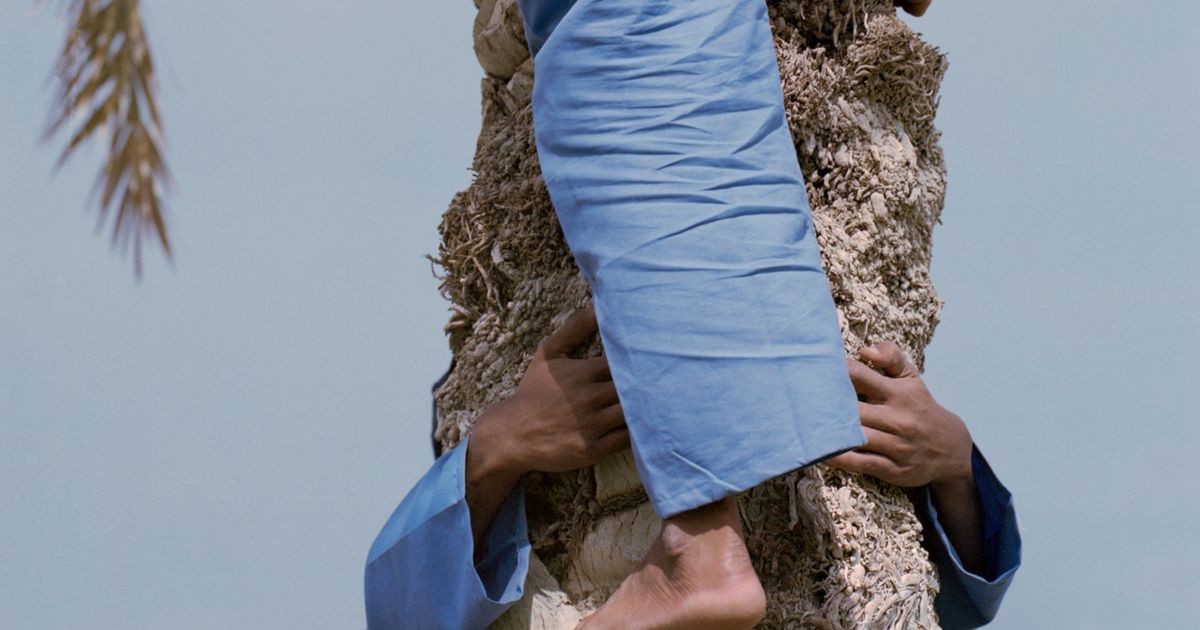 Lumínic Festival 2026 Open Call | PhMuseum