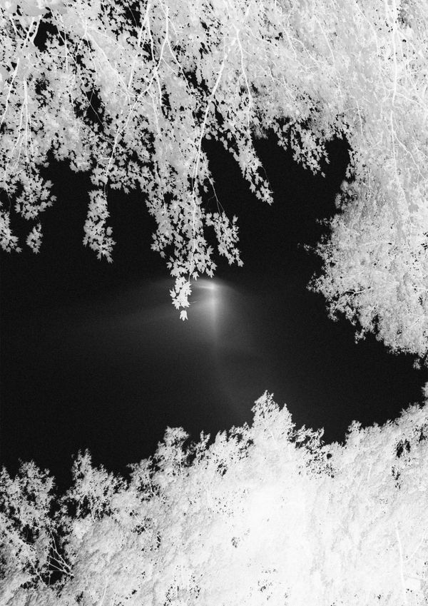 © Giorgia Lisi