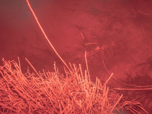 © Sille Veilmark and Sofie Mathiassen