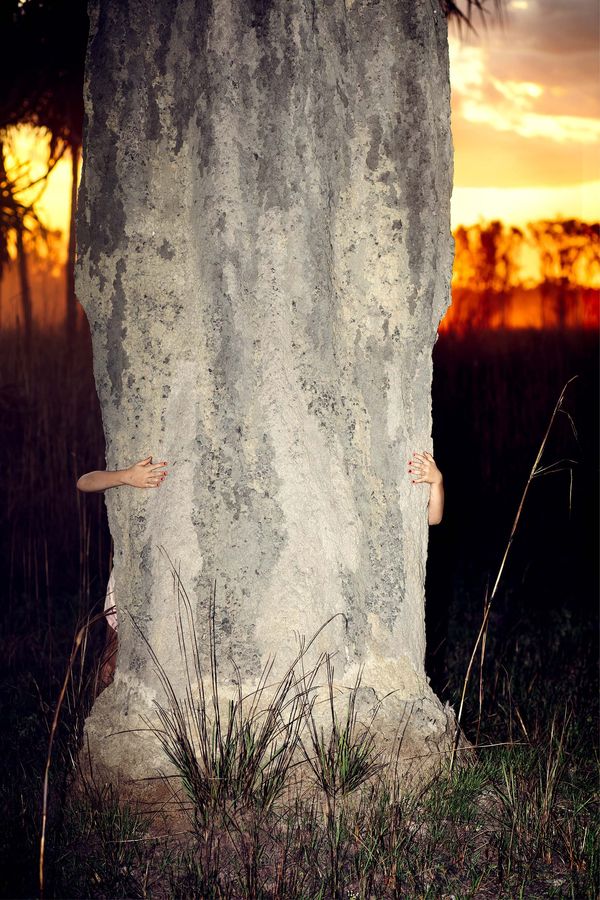 © Liss Fenwick
