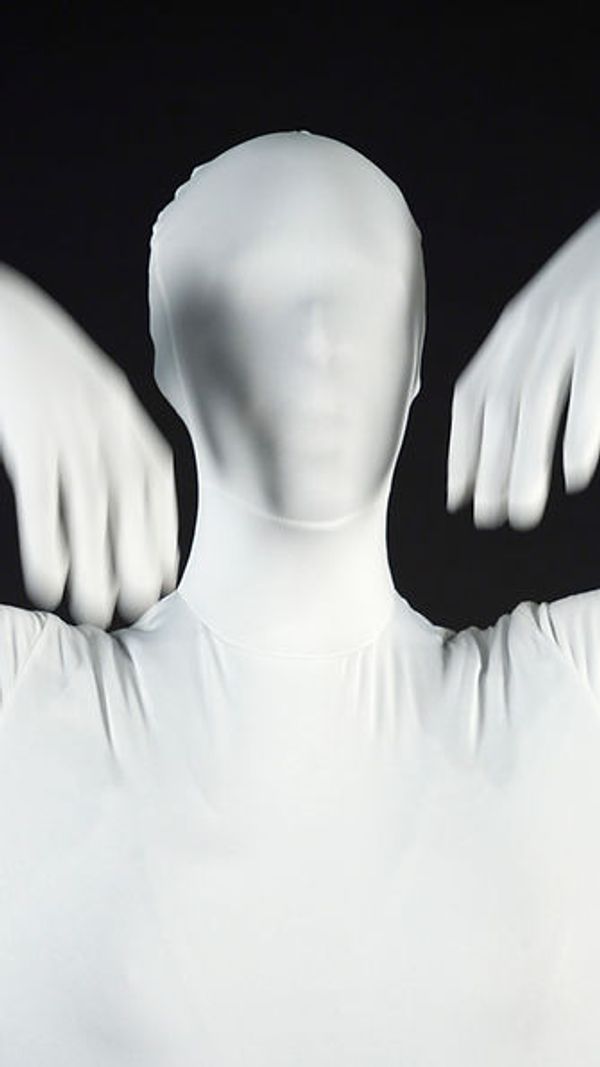 © Orecchie D’Asino