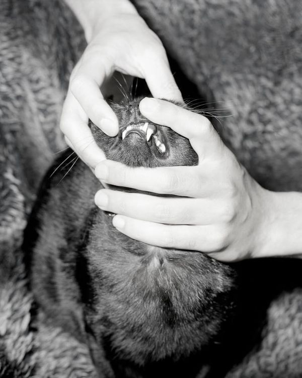 © Clémence Elman