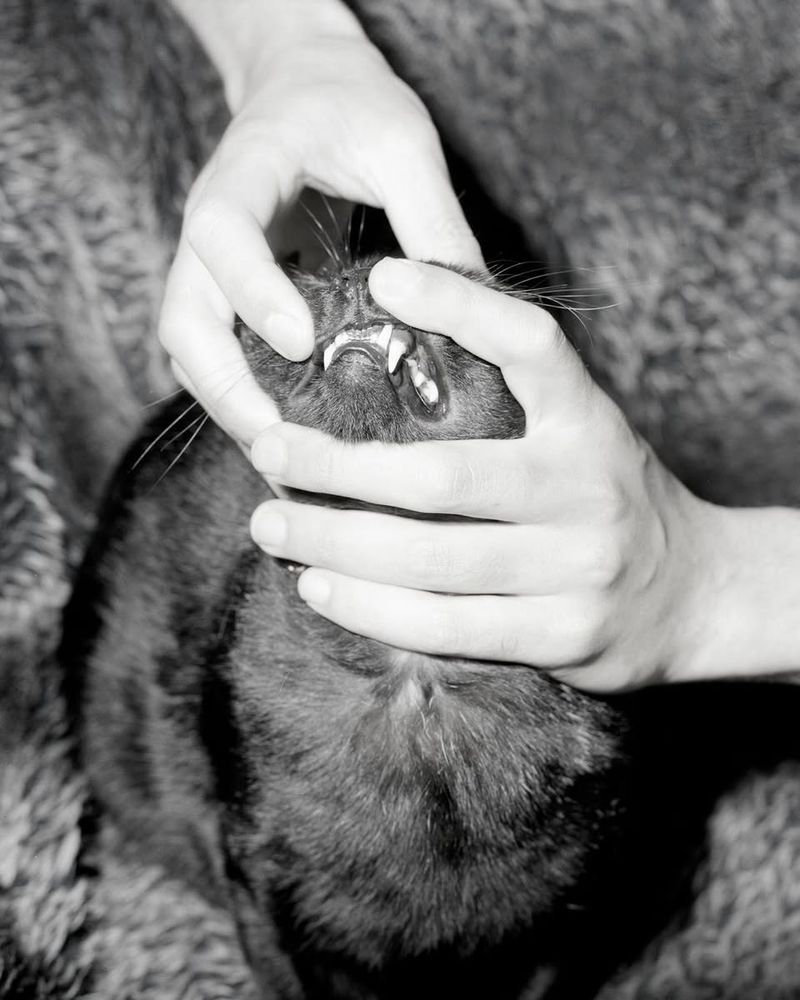 © Clémence Elman