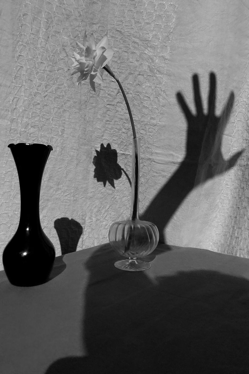 © Sarah van Rij