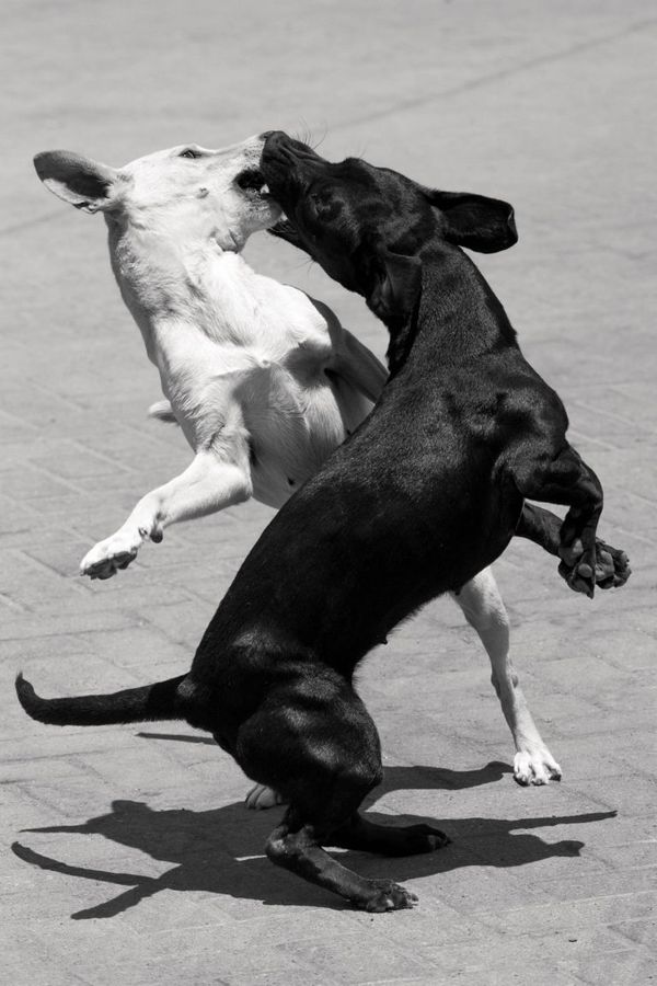 © Jörg Brüggemann