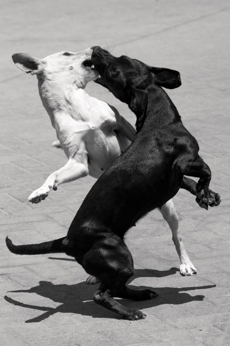 © Jörg Brüggemann