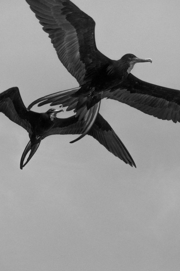 © Jörg Brüggemann