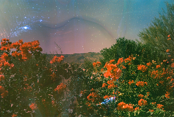 © Caroline Ruffault