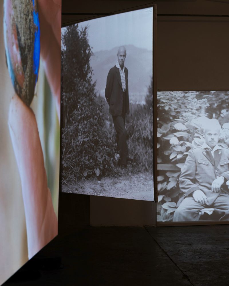 Peter Pflügler Discusses His Exhibition HANS At PhMuseum Lab