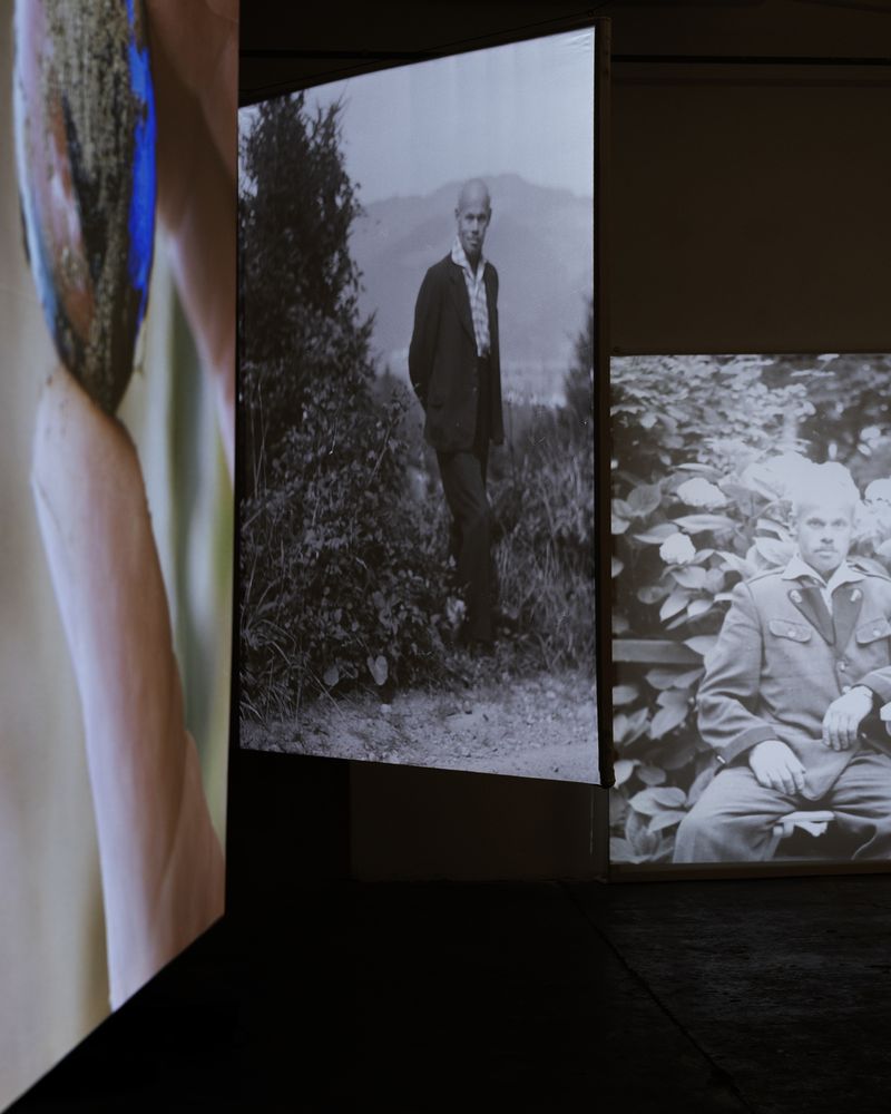 Peter Pflügler Discusses His Exhibition HANS At PhMuseum Lab