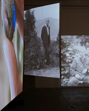 Peter Pflügler Discusses His Exhibition HANS At PhMuseum Lab