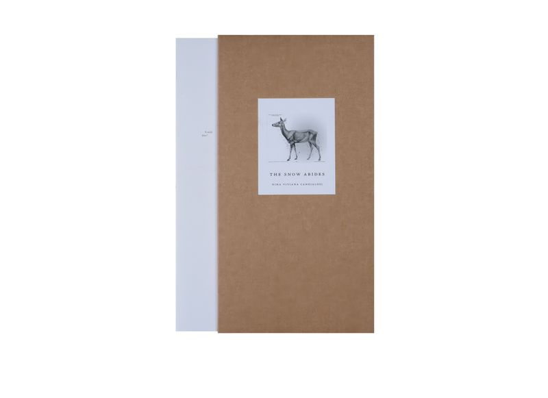 © The Snow Abides by Nina Viviana Cangialosi published by VOID