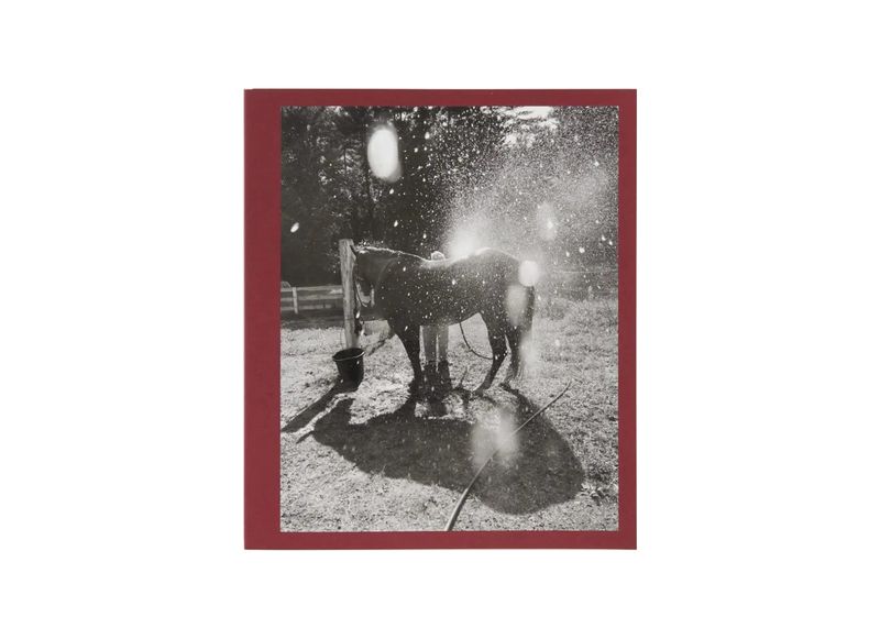 © Calling The Birds Home by Cheryle St. Onge, published by L’Artiere