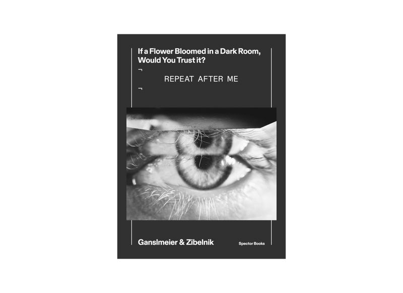 © If A Flower Bloomed In A Dark Room Would You Trust It? by Jakob Ganslmeier and Anna Zibelnik published by Spector Books