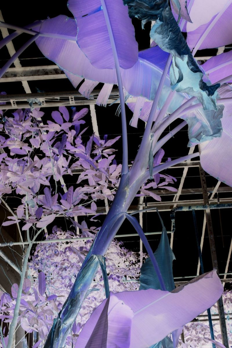 © Katrín Elvarsdóttir, Icelandic Visual Arts Fund