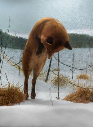 Everything Transforms In Water: Interview With Claudia Amatruda