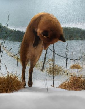 Everything Transforms In Water: Interview With Claudia Amatruda