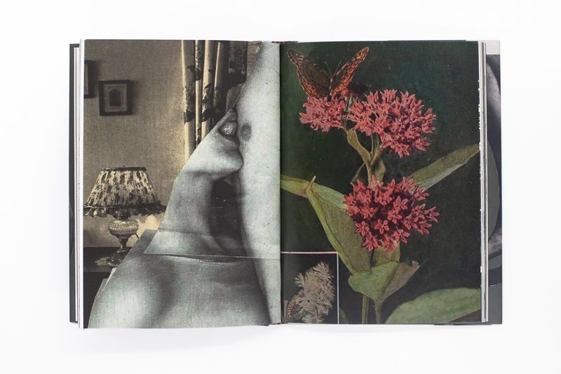Wild Flowers by James Gallagher, published by Départ Pour l'Image