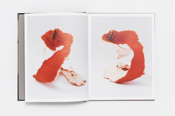 Acedia by Louise Desnos, published by Witty Books