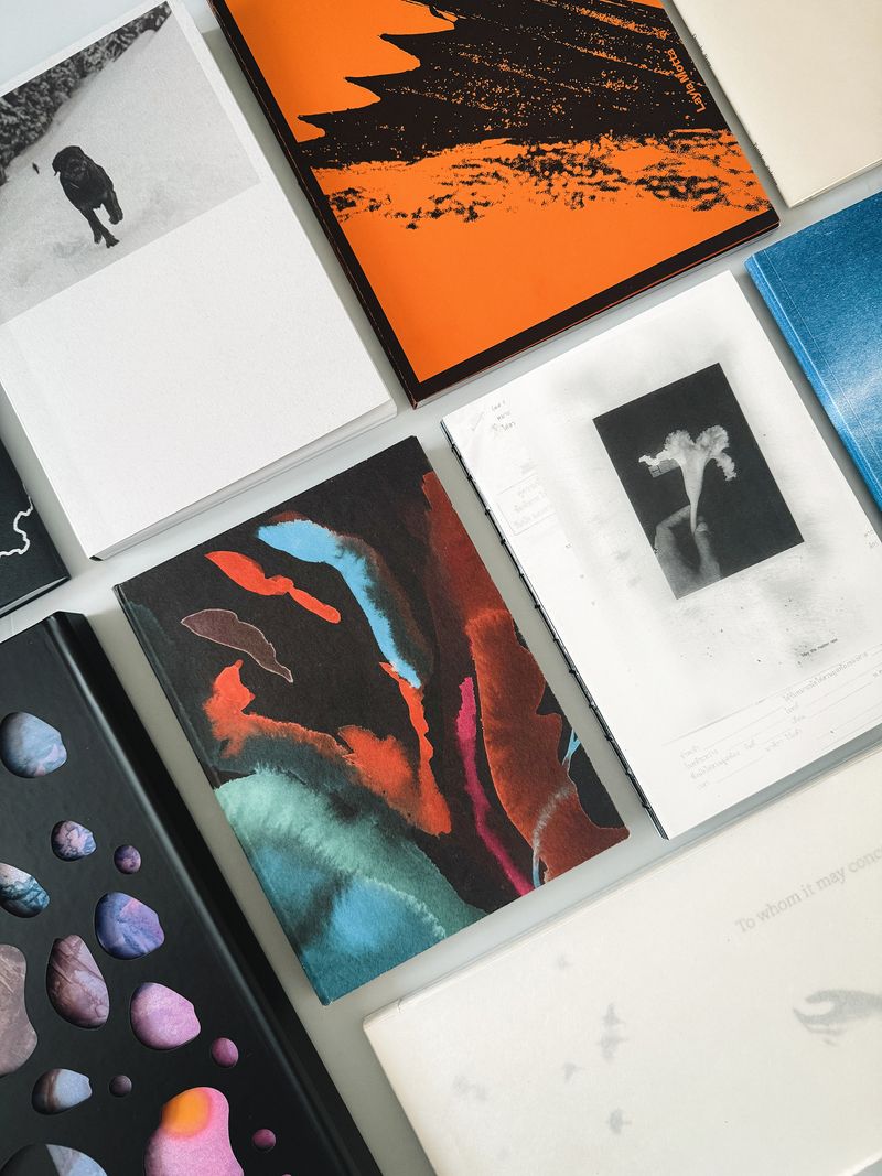 Dummies from FOLIO 2024/25 Online Masterclass On Photobook Making