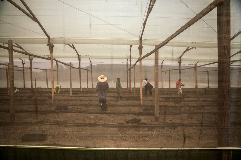 © Catalina Martin-chico - Image from the Colombia, (RE) BIRTH photography project