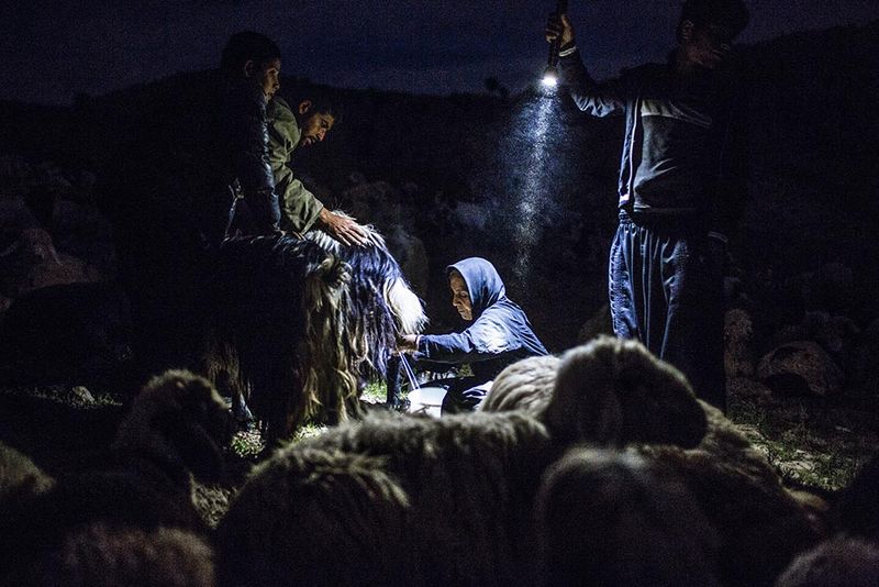 © Catalina Martin-chico - Image from the The Last and The Lost — The Brave Nomads of Iran photography project