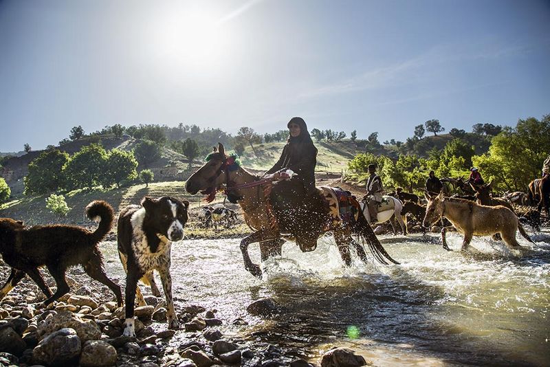 © Catalina Martin-chico - Image from the The Last and The Lost — The Brave Nomads of Iran photography project