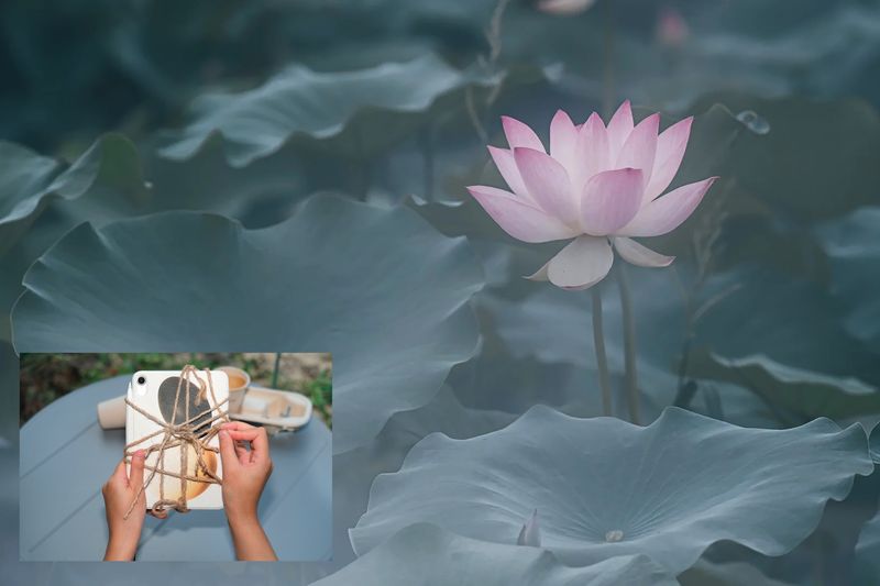 © Wen Xiao - Image from the Dream Is a Piece of Ham photography project