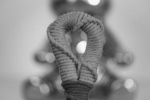 Origins of Sexuality