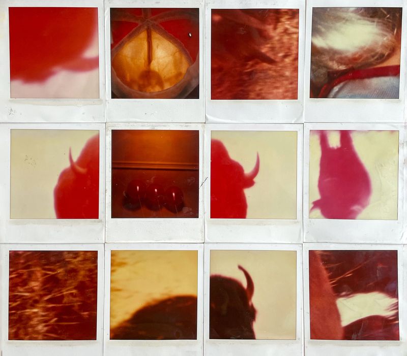 © Stella Kudritzki - Image from the Where We Surface photography project