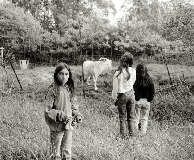© Stella Kudritzki - Scape Goat