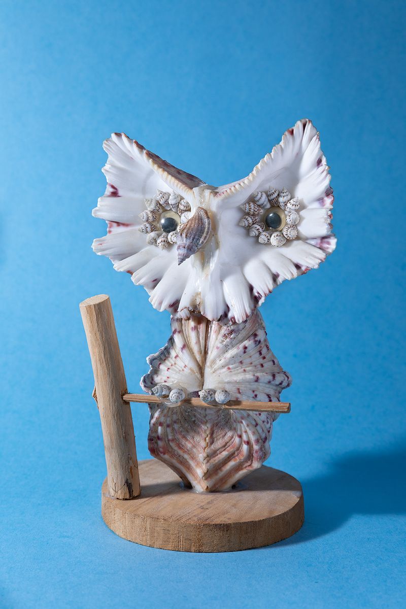 © Joshua H Phelps - Image from the Deceitful by Nature photography project