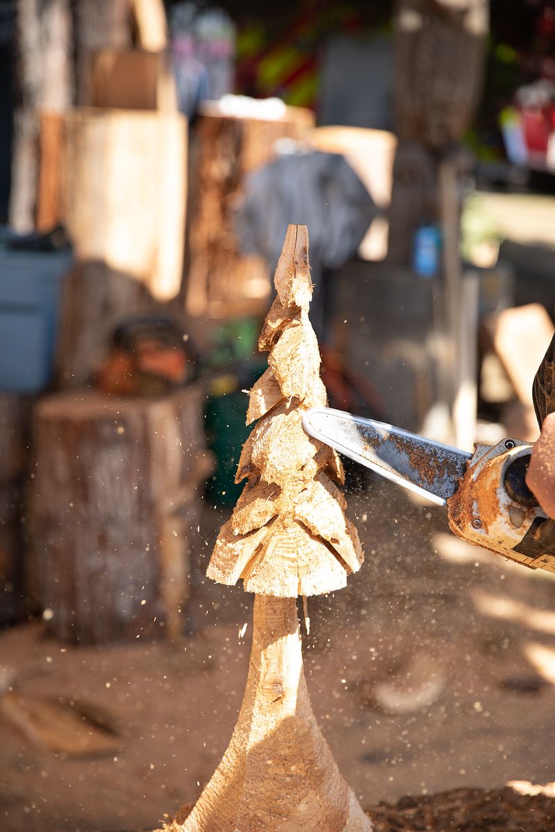 © Joshua H Phelps - Image from the Deceitful by Nature photography project