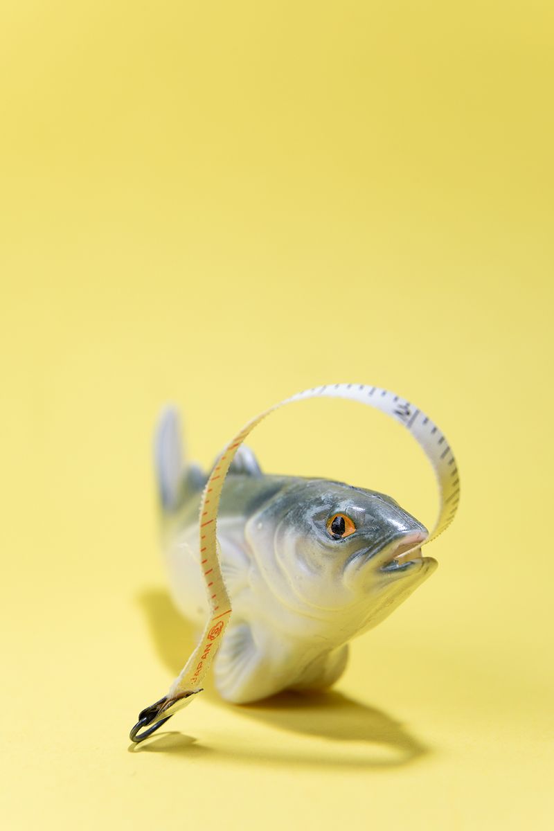 © Joshua H Phelps - Image from the Deceitful by Nature photography project