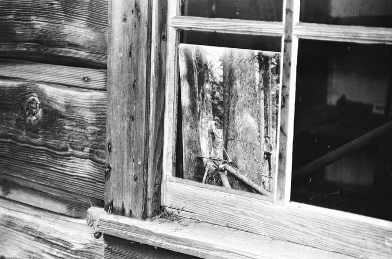 © Joshua H Phelps - Forest Worker Archival Photograph | Bothell, Washington