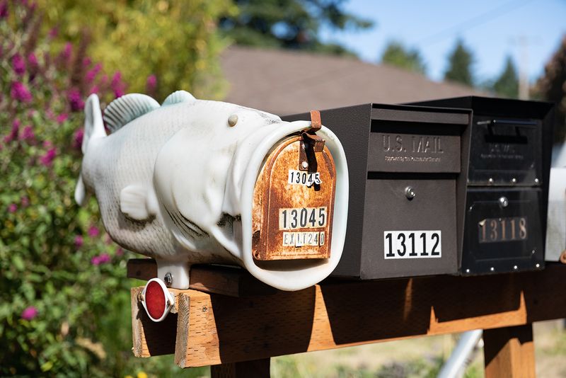 © Joshua H Phelps - Image from the Deceitful by Nature photography project