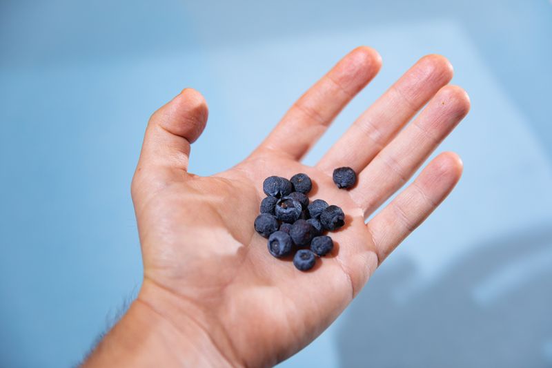 © Joshua H Phelps - Image from the In Which I Hold Food photography project